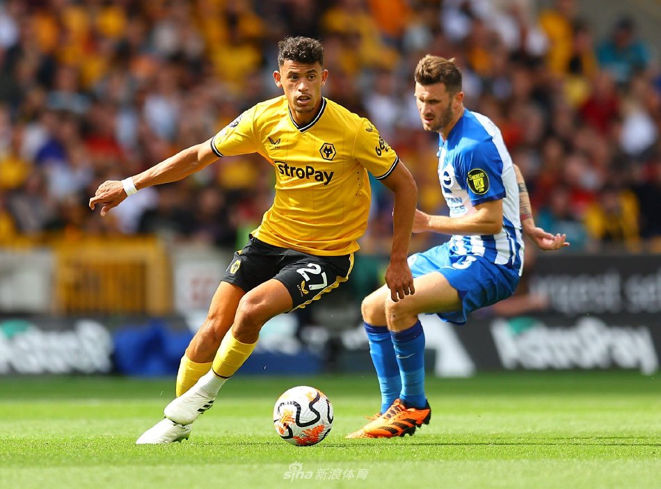 纳禁区内制 纳禁区内制